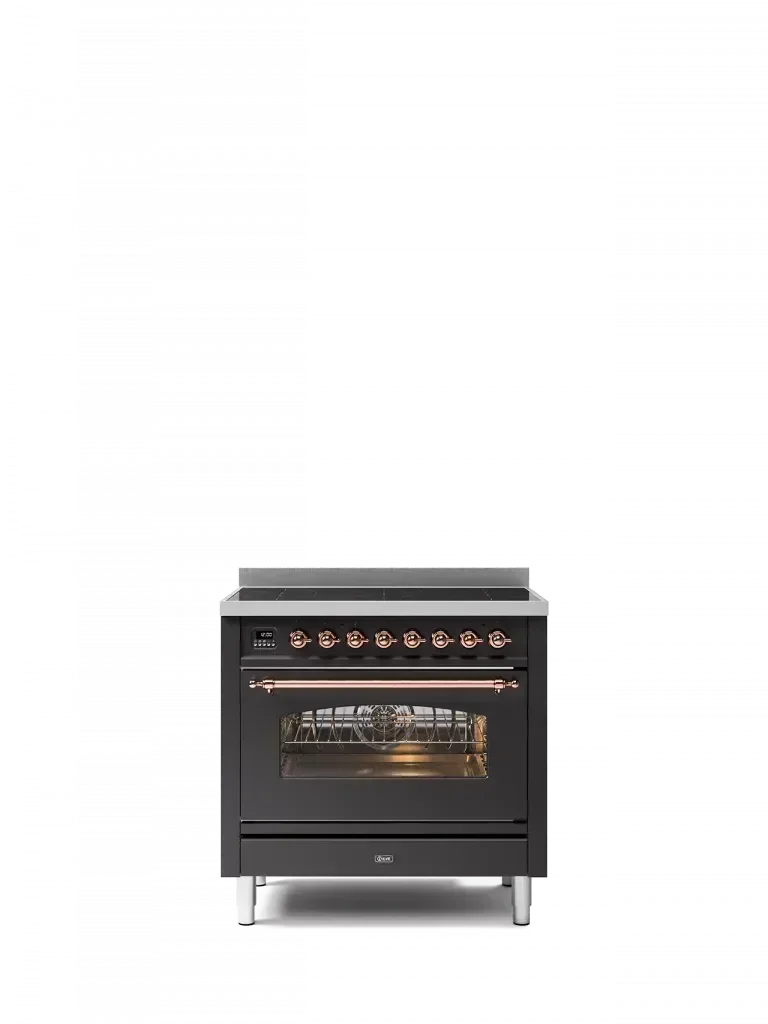 Falcon premium European glass black upright induction cooker with control knobs and oven window
