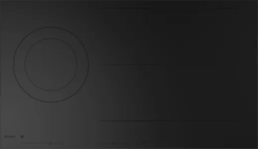 Falcon premium European glass black upright 1100mm induction cooker with sleek design