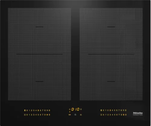 Falcon premium European glass black upright 1100mm induction cooker with digital controls
