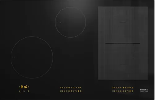 Falcon premium European glass black upright 1100mm induction cooker with sleek design