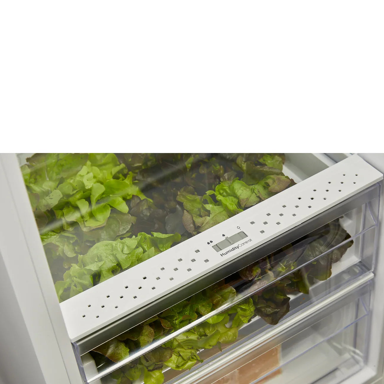 Fresh lettuce in refrigerator crisper with humidity control drawer