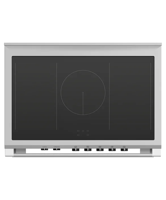 Falcon premium European glass black upright 1100mm induction cooker with sleek controls