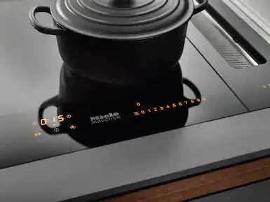 Falcon premium European glass black upright 1100mm induction cooker with digital controls