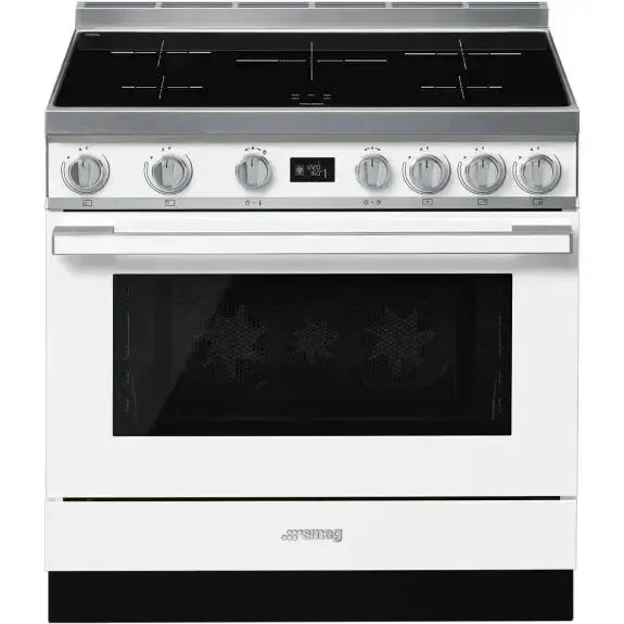 Falcon premium European glass black upright 1100mm induction cooker with sleek white design